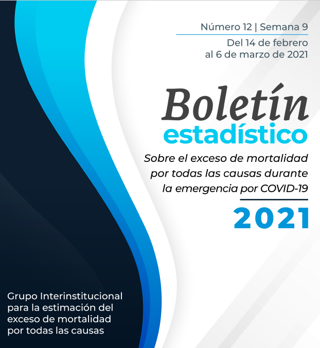 Boletín #12