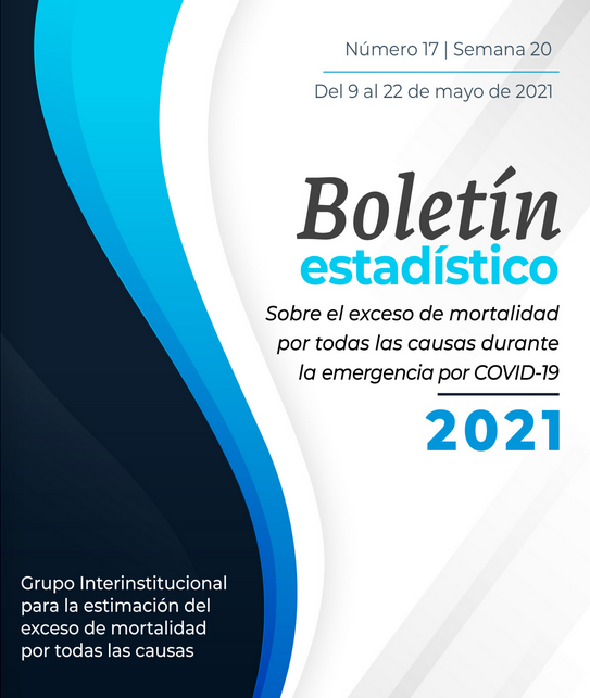 Boletín #17