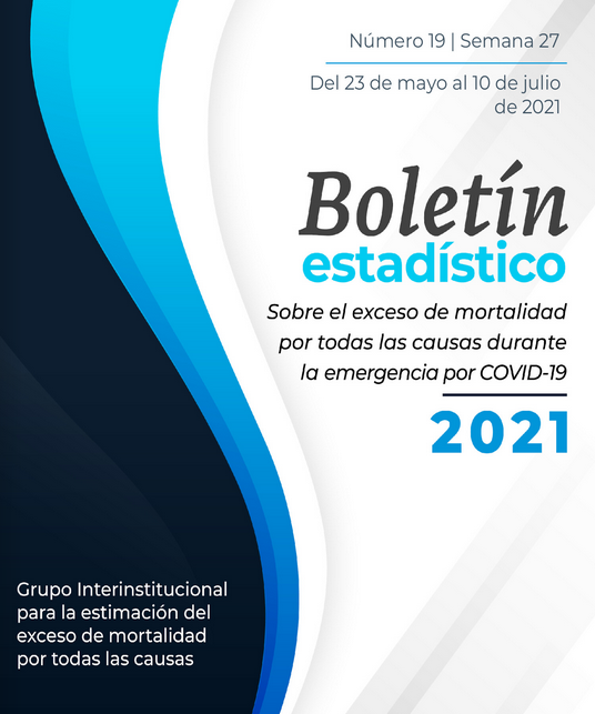 Boletín #19