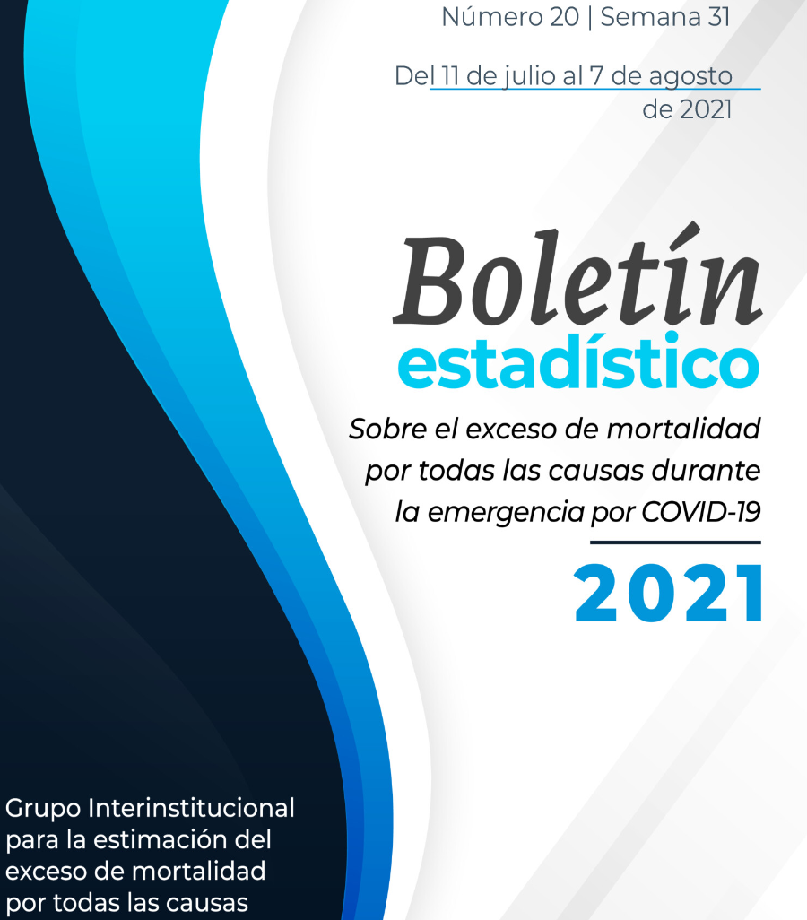 Boletín #20