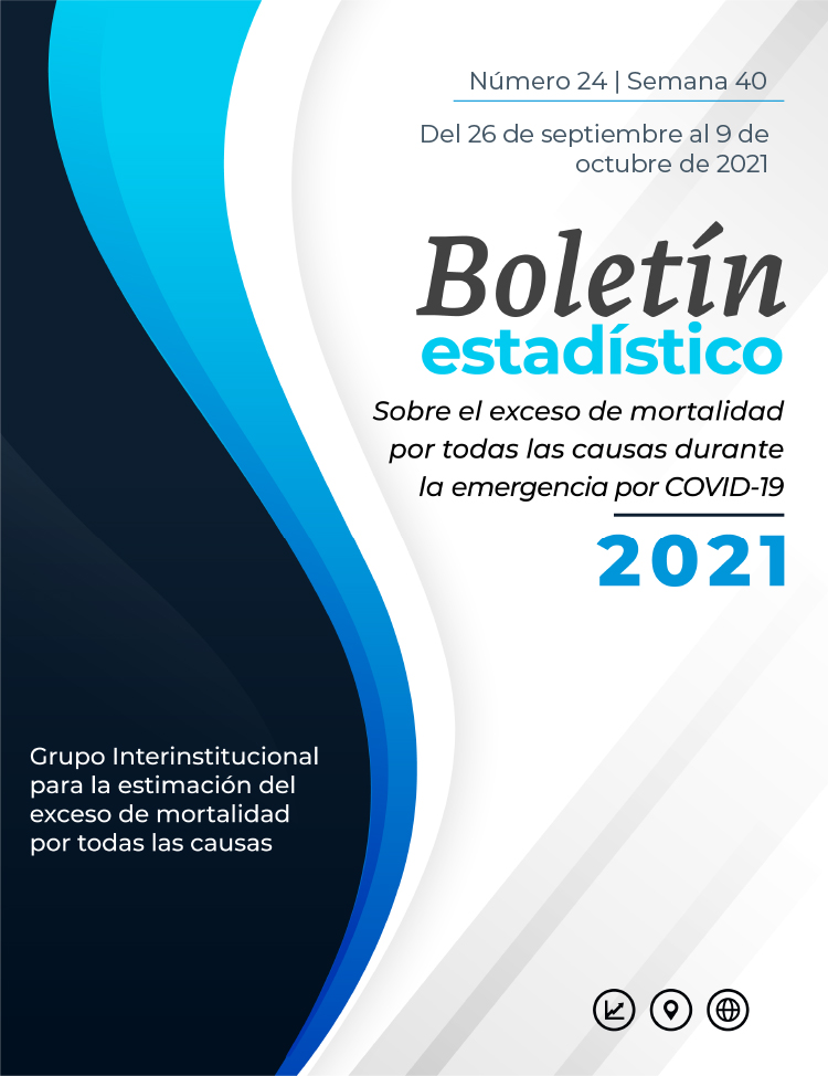 Boletín #24